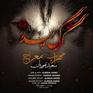 دانلود آهنگ مهراب گرگ پدر