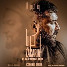 کاور آهنگ رضا کرمی تارا زکریا
