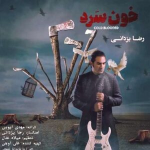 دانلود آهنگ رضا یزدانی خون سرد