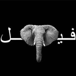 دانلود آهنگ پوری و شایع جاده خاکی