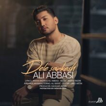 کاور آهنگ علی عباسی دل سرکش