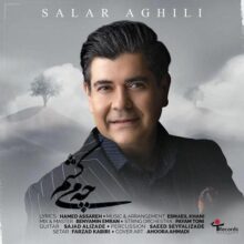 کاور آهنگ سالار عقیلی چه می کشم