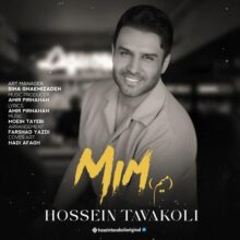 کاور آهنگ حسین توکلی میم