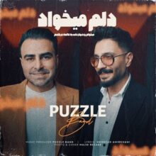 دانلود آهنگ پازل بند دلم میخواد دانلود آهنگ پازل بند دلم میخواد