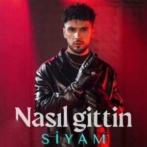 دانلود آهنگ سیام Nasil Gittin