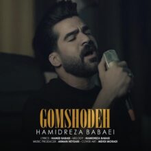 دانلود آهنگ حمیدرضا بابایی گمشده دانلود آهنگ حمیدرضا بابایی گمشده