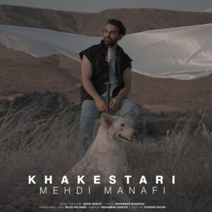 دانلود آهنگ مهدی منافی خاکستری