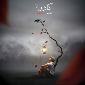 دانلود ریمیکس آهنگ کادو 2 از دانیال و بیبال و فرشاد و مهدیار