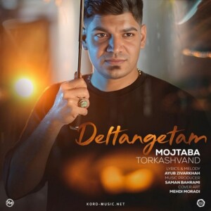 دانلود آهنگ مجتبی ترکاشوند دلتنگتم دانلود آهنگ مجتبی ترکاشوند دلتنگتم