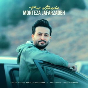 دانلود آهنگ مرتضی جعفرزاده پر میکشه ورژن جدید دانلود آهنگ مرتضی جعفرزاده پر میکشه ورژن جدید