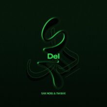 دانلود آهنگ تی ام بکس دل دانلود آهنگ تی ام بکس دل